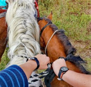 ¡Explora las Maravillas de Montar a Caballo en las Montañas de Chipaque, Cundinamarca: Una Aventura Ecuestre Inolvidable! 😍🐎