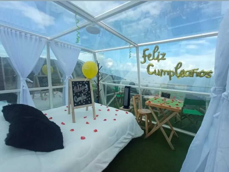 El vestíbulo del hotel es un lugar acogedor y relajante para que los huéspedes se registren y se relajen. Los grandes ventanales permiten que entre mucha luz natural, creando un ambiente cálido y acogedor.