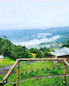 Carpa de glamping equipada con una cómoda cama king size y protegida por una malla antimosquitos, ubicada en un entorno montañoso, ideal para parejas que buscan una experiencia romántica y en contacto con la naturaleza.
